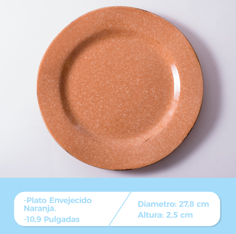 PLATO PANTONE 28 CM PLANO - Imagen 2
