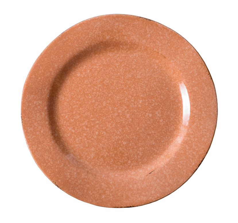 PLATO PANTONE 28 CM PLANO